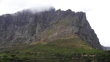 betoverend berg top gehuld in wolken, weelderig uitlopers, natuurlijk schoonheid. video