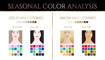 Elegant Seasonal Skin Color Analysis Illustration with Color Swatches and Skin Undertone Palette for Summer, Winter, Autumn, and Spring Type vector