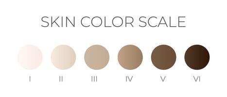 Skin Color Scale with Gradient Swatches vector