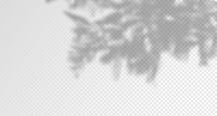 Glare from the sun's rays on the wall. Blurred shadows from leaves and plants in the room. Soft overlay of natural light. Abstract background for product presentation.Natural light layout.