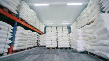 A Large Warehouse With Bags Of Flour, Sugar, Salt And Rice. Warehouse With White Bags For Long-term Storage. video