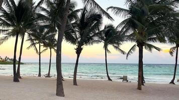 Romantic sunset on the beach under palm trees. An empty beach without people, sunbeds by the sea with waves. Vacation at the resort. video