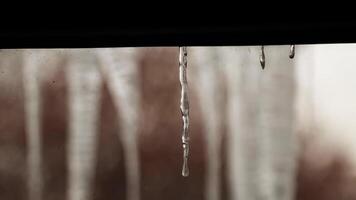 ijs ijspegels Aan de venster tegen de achtergrond van de winter lucht en de stad. video