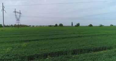 The drone flies over a small country road. There are fields and green trees around. video