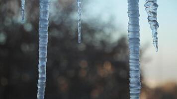 hielo carámbanos en el ventana en contra el antecedentes de el invierno cielo y el ciudad. video