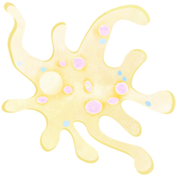 The amoeba is a part of every human body. An hand drawn illustration of anatomy. Amoeba watercolor. png