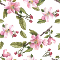 Branch of apple or other spring blossom tree seamless pattern, flowers and buds. Springtime blooming plant. Hand drawn botanical clipart for fabric, wrapping wallpaper print. background png