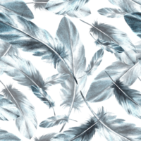 Aquarell nahtlos Muster mit einfarbig Vogel Gefieder grau schwarz Farbe mit Granulation von Schattierungen, Ornamente. Federkiele Flügel Zeichnung Illustration. Hintergrund Verpackung Stoff Hintergrund png