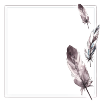 vattenfärg hand dragen svartvit fyrkant ram. fågel grå grå svart fjädrar med grafisk bläck linje verklig vingar kort mall illustration. ClipArt för inbjudan bröllop skriva ut bakgrund png