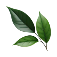 AI generated leaf green isolate PNG transparent