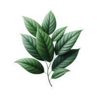 AI generated leaf green isolate PNG transparent