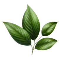 AI generated leaf green isolate PNG transparent