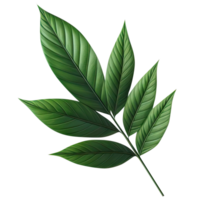 AI generated leaf green isolate PNG transparent