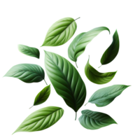 AI generated leaf green isolate PNG transparent