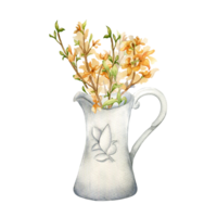 Yellow blossom branches in ceramic jug watercolor illustration. Hand painted spring flowers forsythia for Easter design in neutral color. Forsythia blooming hand drawn. png