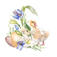 Easter gosling, eggs and crocus. Easter illustration with spring flowers and bird. Watercolor duckling and delicate plants hand drawn for design greeting card, decoration. png