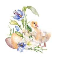 Pascua de Resurrección ansarino, huevos y azafrán. Pascua de Resurrección ilustración con primavera flores y pájaro. acuarela anadón y delicado plantas mano dibujado para diseño saludo tarjeta, decoración. png