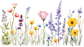 ai généré fleurs sauvages aquarelle frontière avec une variété de printemps fleurit png