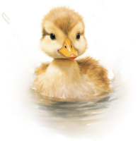 AI generated Serene Duckling on Water Reflective Watercolor Art png