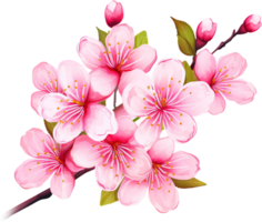 AI generated Close-up of Pink Cherry Blossom Branch in Full Bloom png