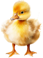 AI generated Adorable Duckling in Soft Lighting Watercolor Artwork png