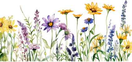 ai generiert Frühling Wildblume Panorama- Rand im voll blühen Aquarell png