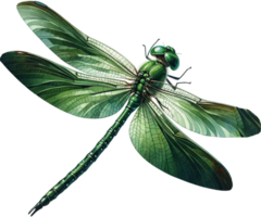 ai generiert realistisch Grün Libelle Kunstwerk mit detailliert Flügel png