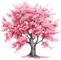 ai generato capriccioso ciliegia fiorire albero con denso rosa baldacchino png