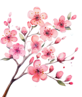 ai généré stylisé Cerise fleurs aquarelle illustration sur branche png