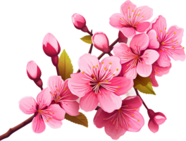 AI generated Vibrant Cherry Blossom Branch with Pink Blooms and Buds png