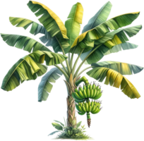 AI generated Mature Banana Plant Bearing Fruit Illustration png