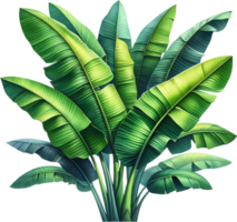 AI generated Lush Banana Tree Foliage Illustration png