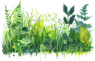 AI generated Detailed Illustration of Meadow Plants and Ferns png