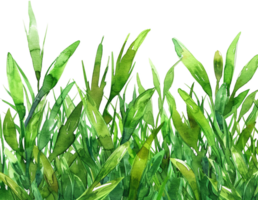 ai gegenereerd jong groen gras ontspruiten png