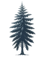 AI generated Classic Fir Tree Illustration in Vintage Style Watercolor Clipart Isolated png