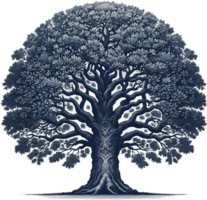 ai généré ancien rond canopée arbre illustration aquarelle clipart isolé png