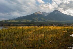 Aerial view of the Vermilion Lakes near Banff, Canada. photo