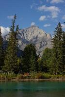 ver de montar norquay desde banff. foto