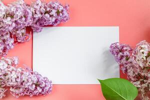 Lilac flowers and blank greeting card on coral background. photo