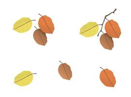 Vector elements, Autumn leaves on a branch, fall