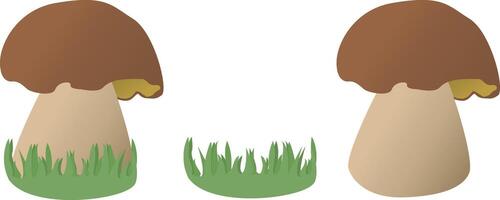 Mushroom in grass on transparent background, fall vector