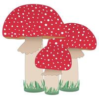 Three red fly agaric in the grass, elements, fall vector