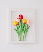 Spring composition made with colorful tulip flowers arranged in frame on white background. Minimal concept and simplicity. Trendy spring flowers idea. Nature flat lay. photo