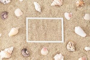 Top view of sea shells pattern on sandy background with creative white frame copy space. Minimal summer concept. Trendy tropical beach day scene idea. Summer aesthetic. Flat lay. photo