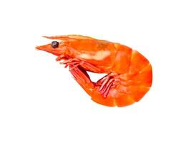 Top view of red cooked prawn isolated on white background with clipping path photo