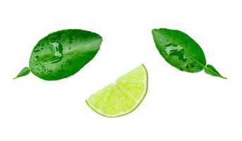 Top view set of green lemon fruit in slice or quarter shape with leaves isolated on white background with clipping path photo