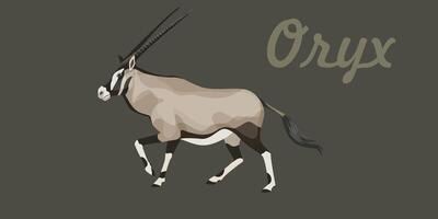 orix antílope vector ilustración. largo Derecho cuernos y oscuro marcas estar arriba y caminar. Desierto animal conservación.