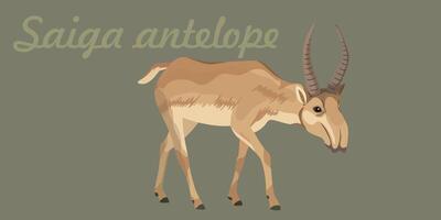 Illustration of a saiga antelope walking crouching. rare and unique animal vector