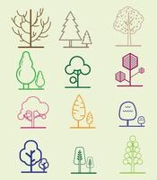 de colores árbol describir. aislado en lineal línea estilo colocar, bosque árbol, jardín y parque plano señales colección vector