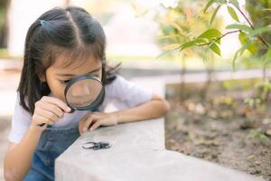 A young girl is looking through a magnifying glass at a bug photo